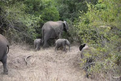 DSC_4091 (Large).JPG